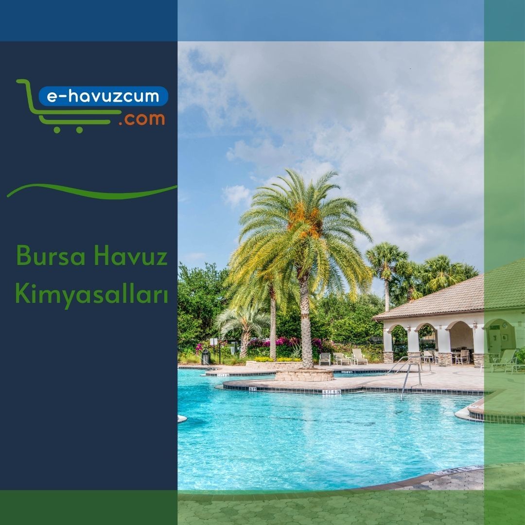 Bursa Havuz Kimyasalları